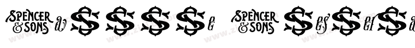 Hanfiye Guesterya S字体转换